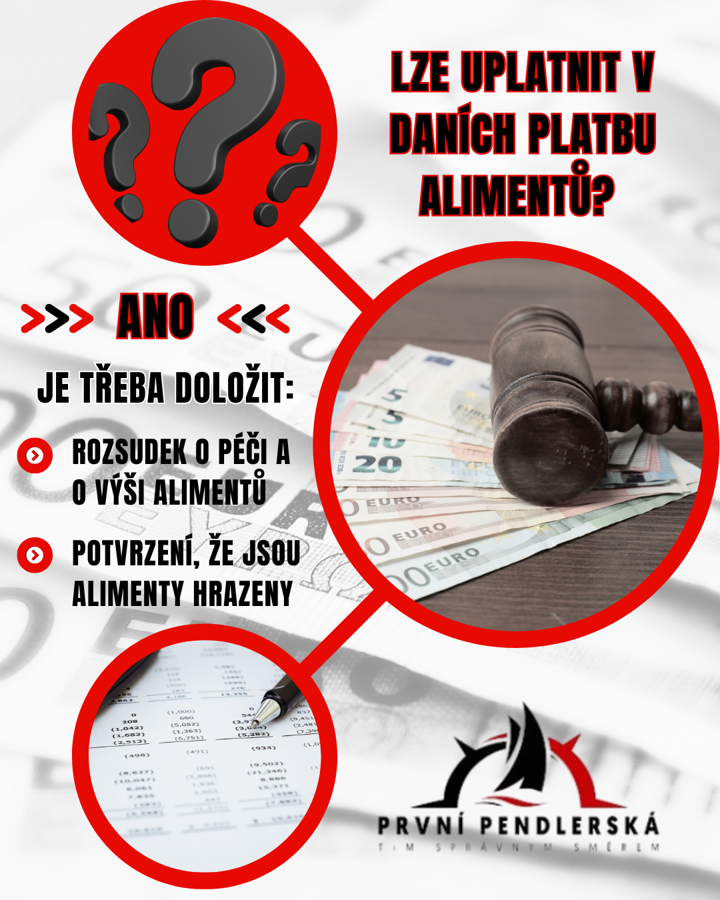 Lze uplatnit v daních platbu alimentů